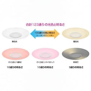 DL-C206V (シャープ)｜6畳用｜住宅用照明器具｜電材堂【公式】