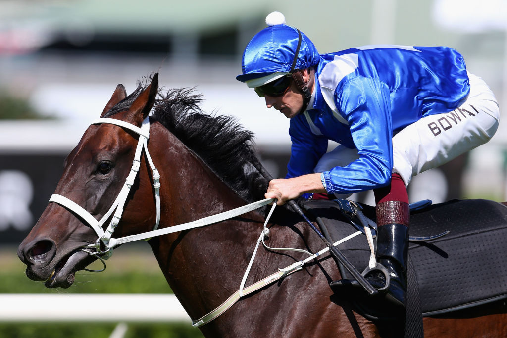 世界のすごい「高額競走馬」事情。51億円の種牡馬も | Forbes JAPAN