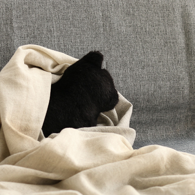 Fabrico NEKO おすわり｜家を装う｜中川政七商店 公式サイト