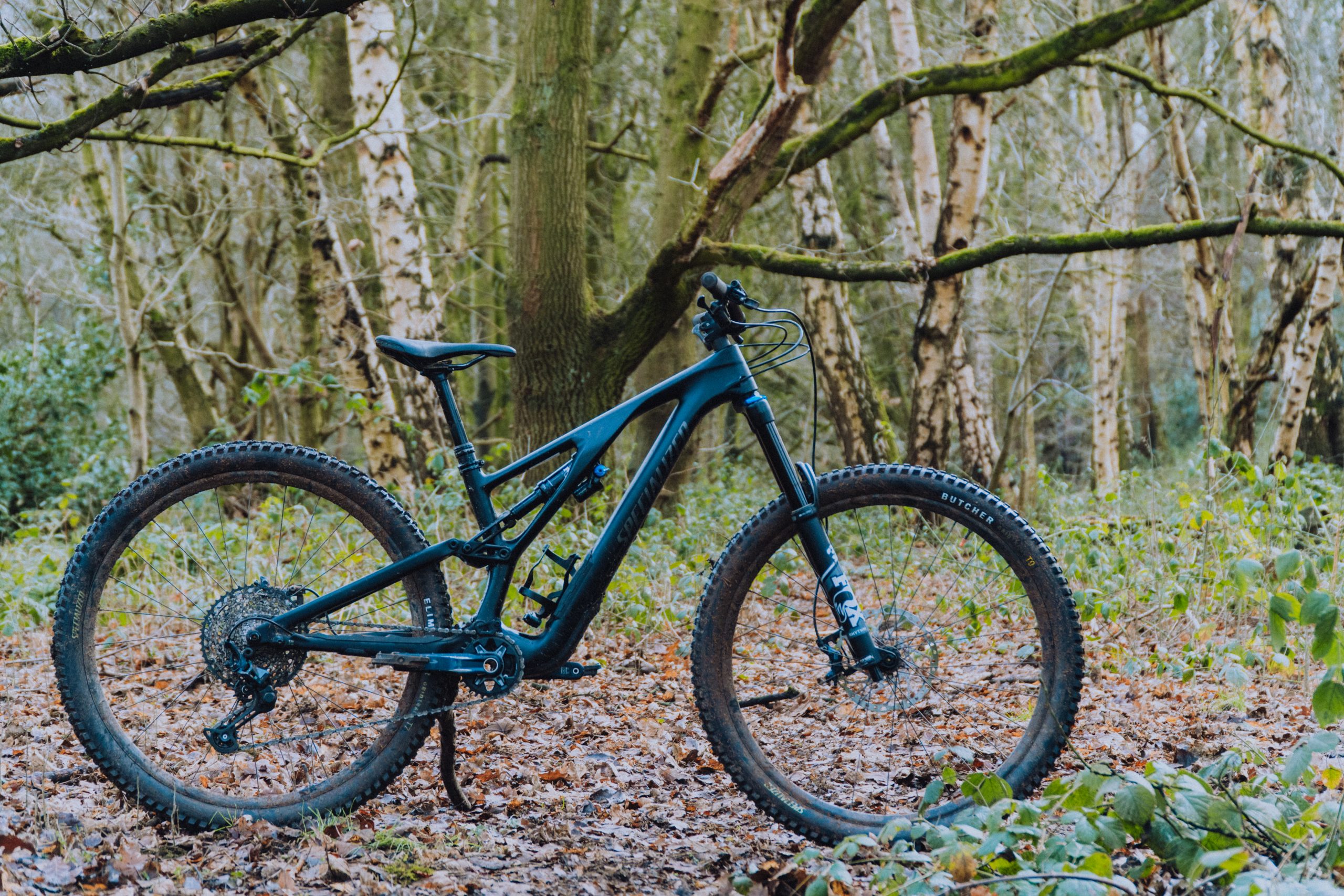 STUMPJUMPER EVO COMP 29 『S2』2021年 2021 Specialized Stumpjumper