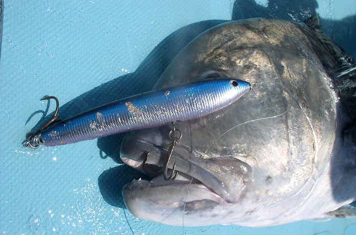 カーペンターγ90-SH-L NEW ガンマ90-SH 特別販売 | カーペンタールアー