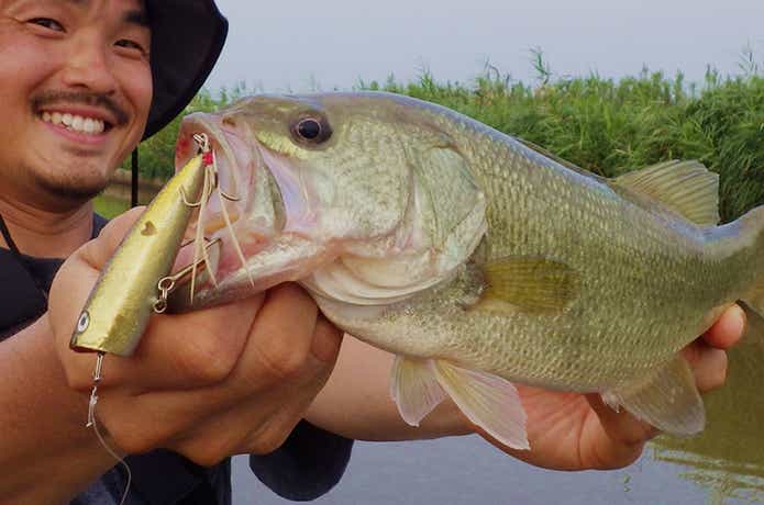 ブラックバスの釣り方講座】10分で読める王道ルアーフィッシング“バス