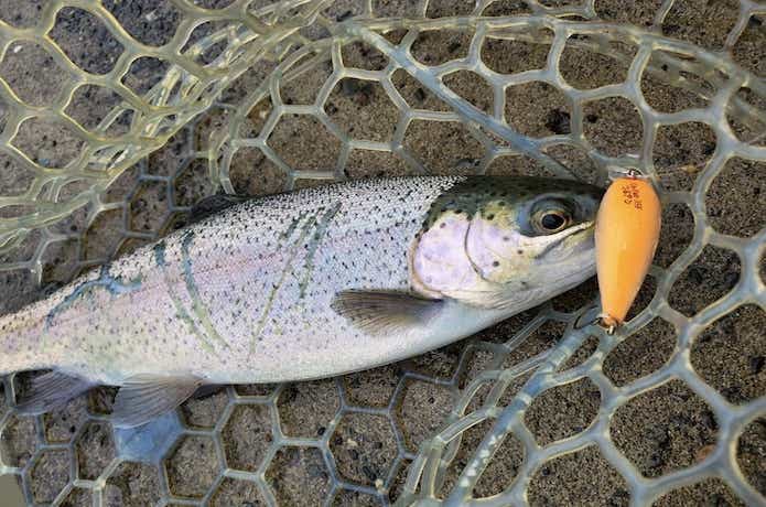 おすすめのエリアトラウト用クランクを元釣具屋が厳選！スプーンより