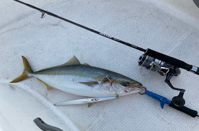 ゲーム TypeJを実釣インプレ。基本性能が非常に高い王道のジギング