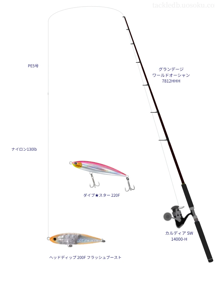 Daiwa カルディア14000Hジギング キャスティング 打ち込み 青物 Daiwa