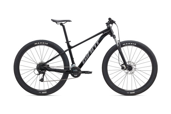 Talon (2025) | Giant Bicycles Japan 日本