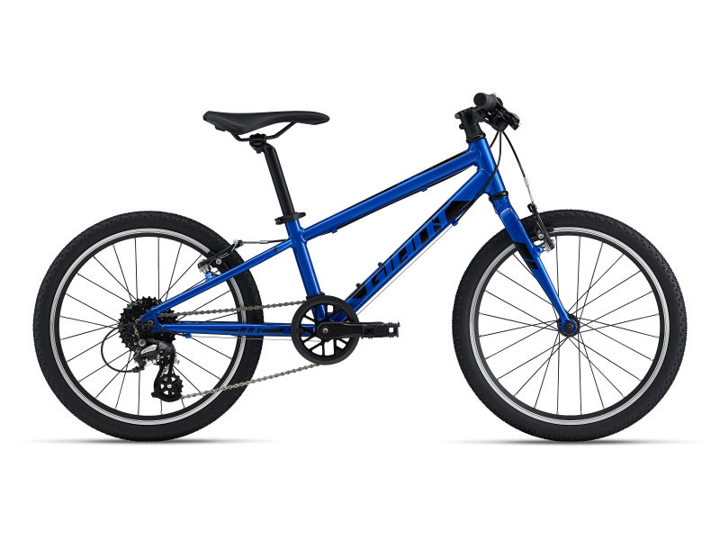 ARX 20 (2022) | Fitness bike | Giant Bicycles UK