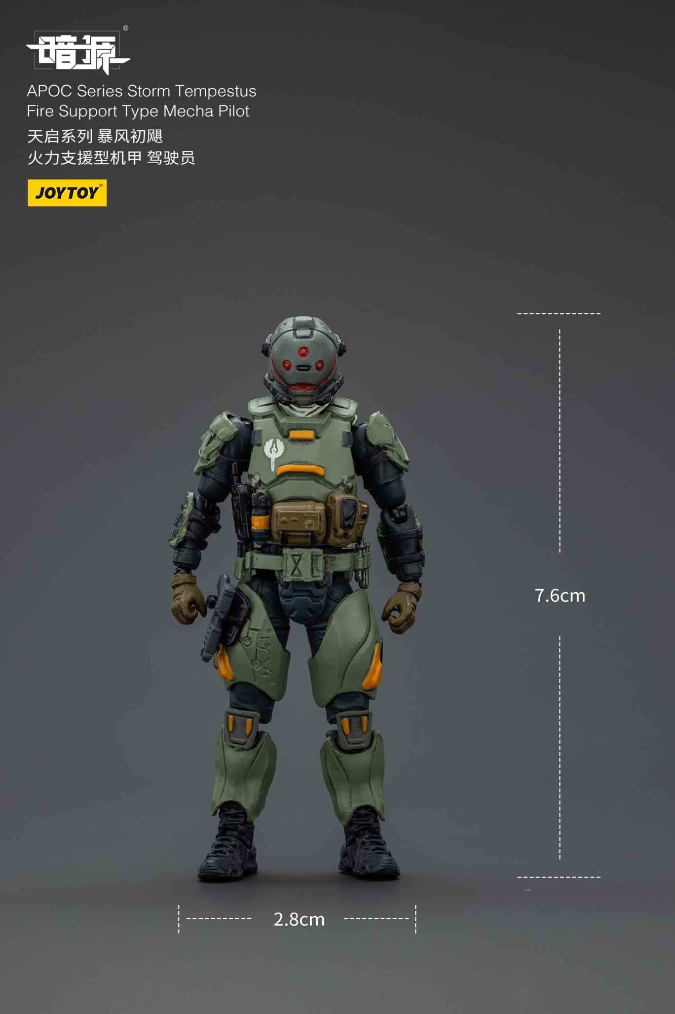 JOYTOY APOC STORM TEMPESTUS（ST-8602）スケール JOYTOY APOC STORM