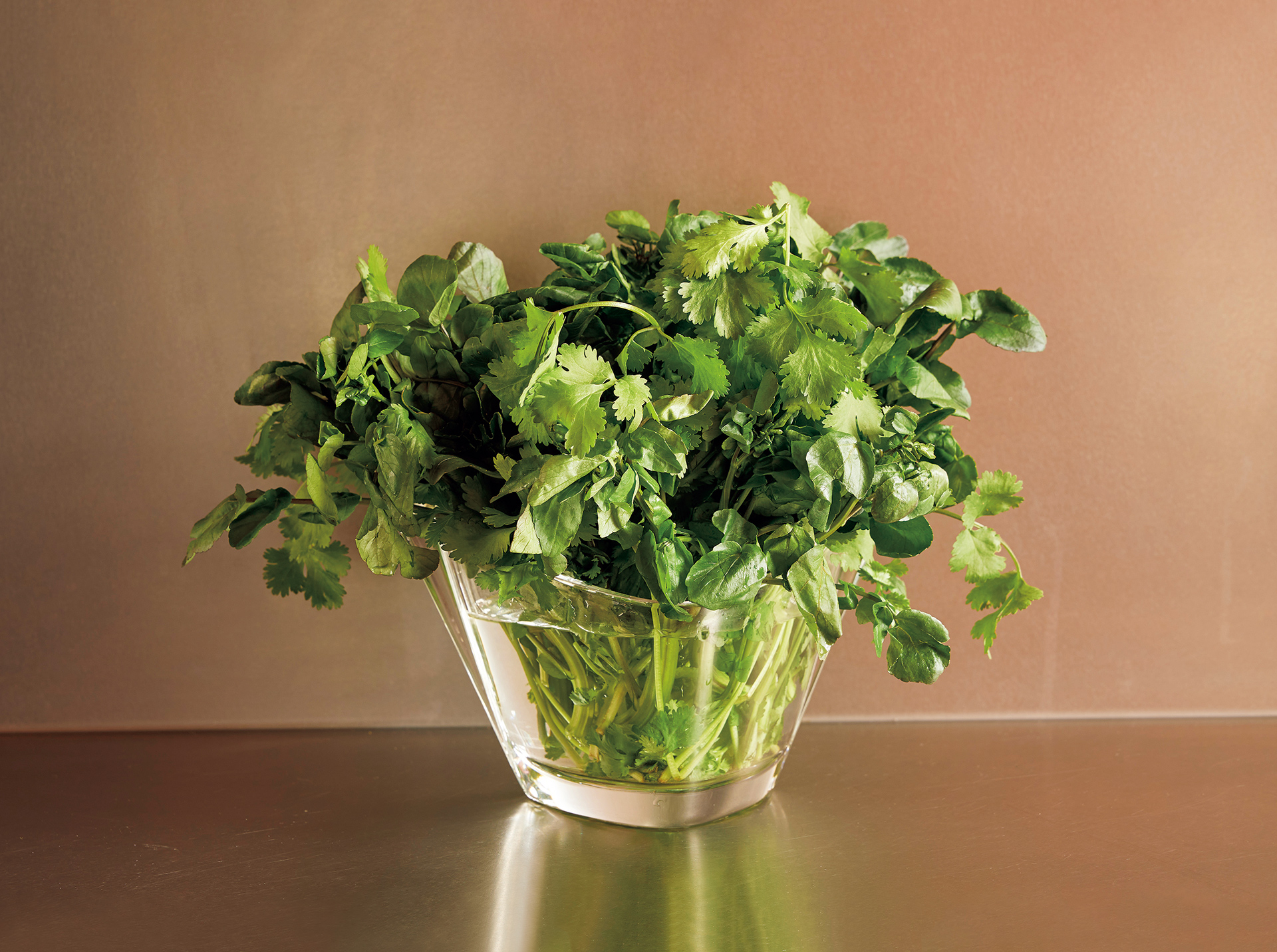 ビュリー〉より届いた、緑豊かなクレソンとパセリの香水。〈ビュリー