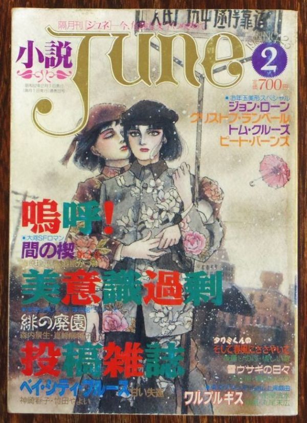 小説june ジュネ 2冊 まとめ売り 雑誌 小説june ジュネ 2冊 まとめ売り