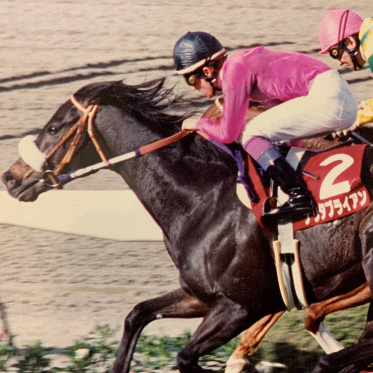 JRAポスター 第44回 阪神大賞典 B2ポスター ナリタブライアン