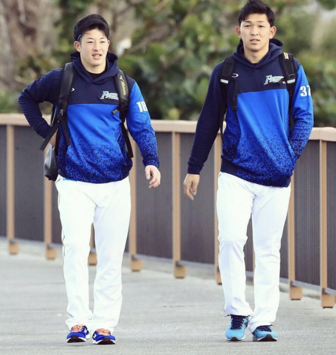 オークリー 日本ハムファイターズ球団公式 定2.8万 セットアップ 5XL