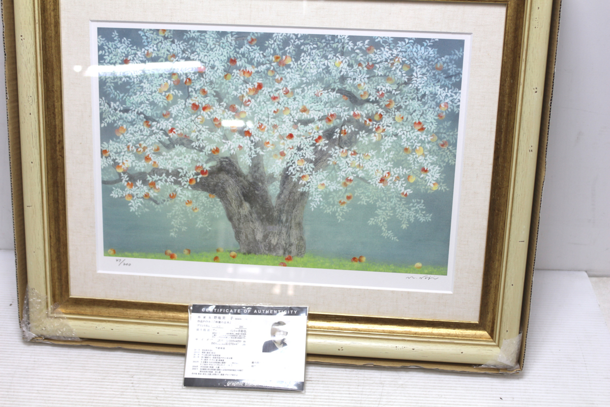☆11-2008】□中古□野地美樹子 林檎の古木 アーカイバルプリント＋手