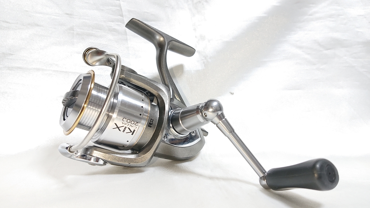 ダイワ カルディアKIX 2508 Custam DAIWA CALDIA ダイワ カルディア