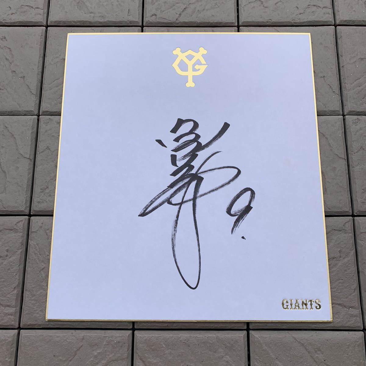 東京読売ジャイアンツ 亀井善行選手♯9 直筆サイン入り UA レプリカ