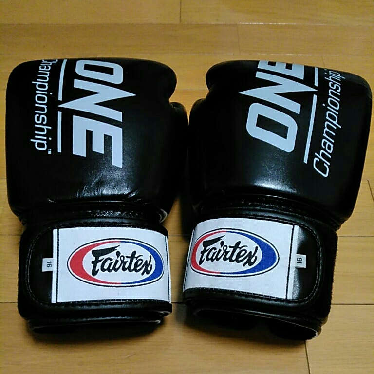 ONE championship グローブ RIZIN RIZIN Kickboxing Gloves | Pro