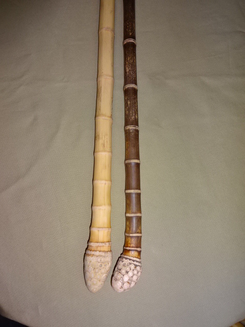 天然【黒竹（根付き）】❗ 天然【黒竹（根付き）】❗ 天然【黒竹