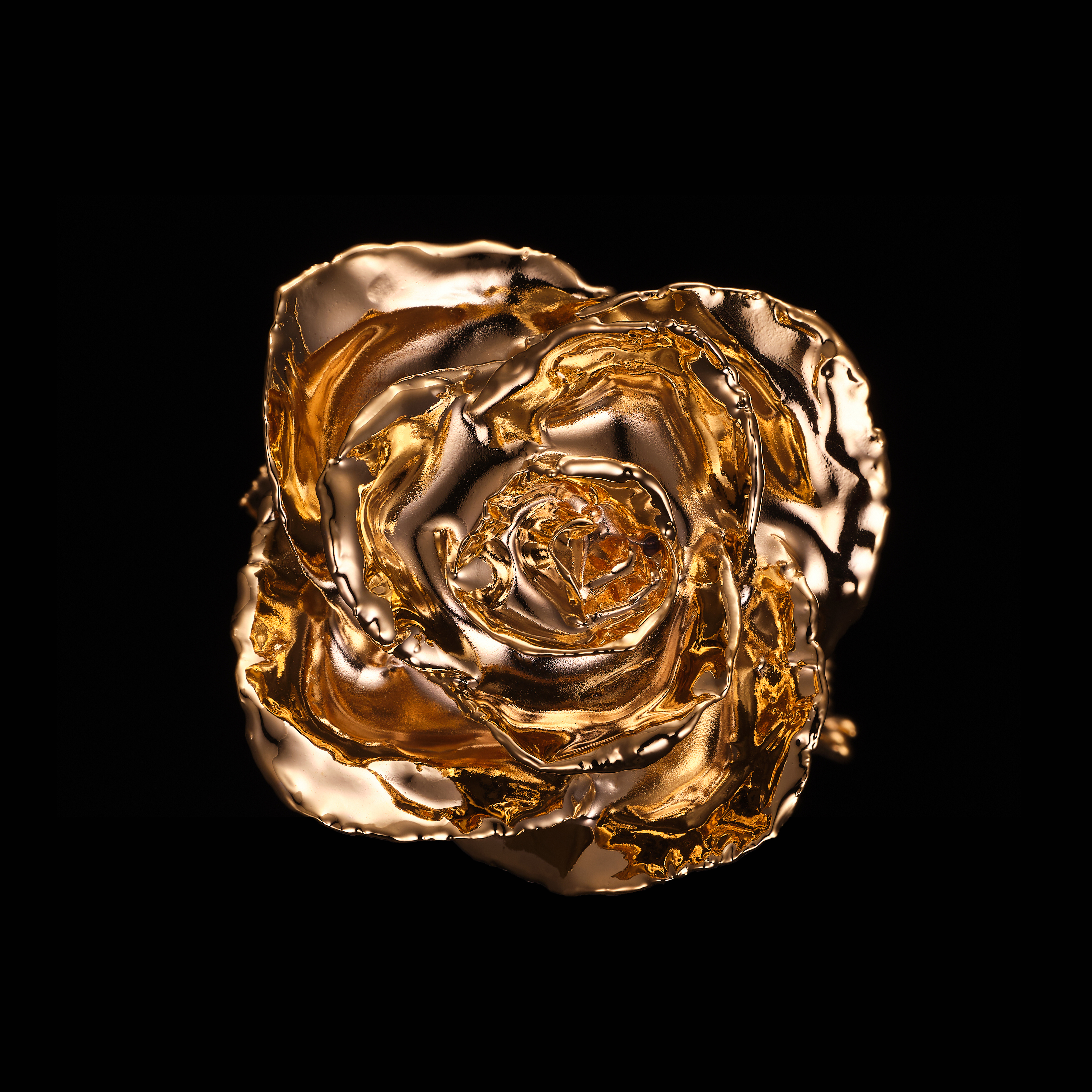 最高級のギフト～24金の薔薇～GOLD ROSE～ゴールドローズ - 【Gold