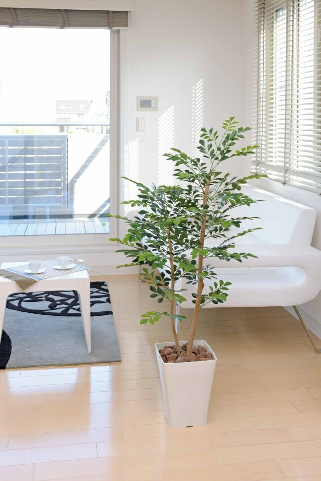 光触媒 光の楽園 トネリコ 1.2m【フェイクグリーン 人工観葉植物
