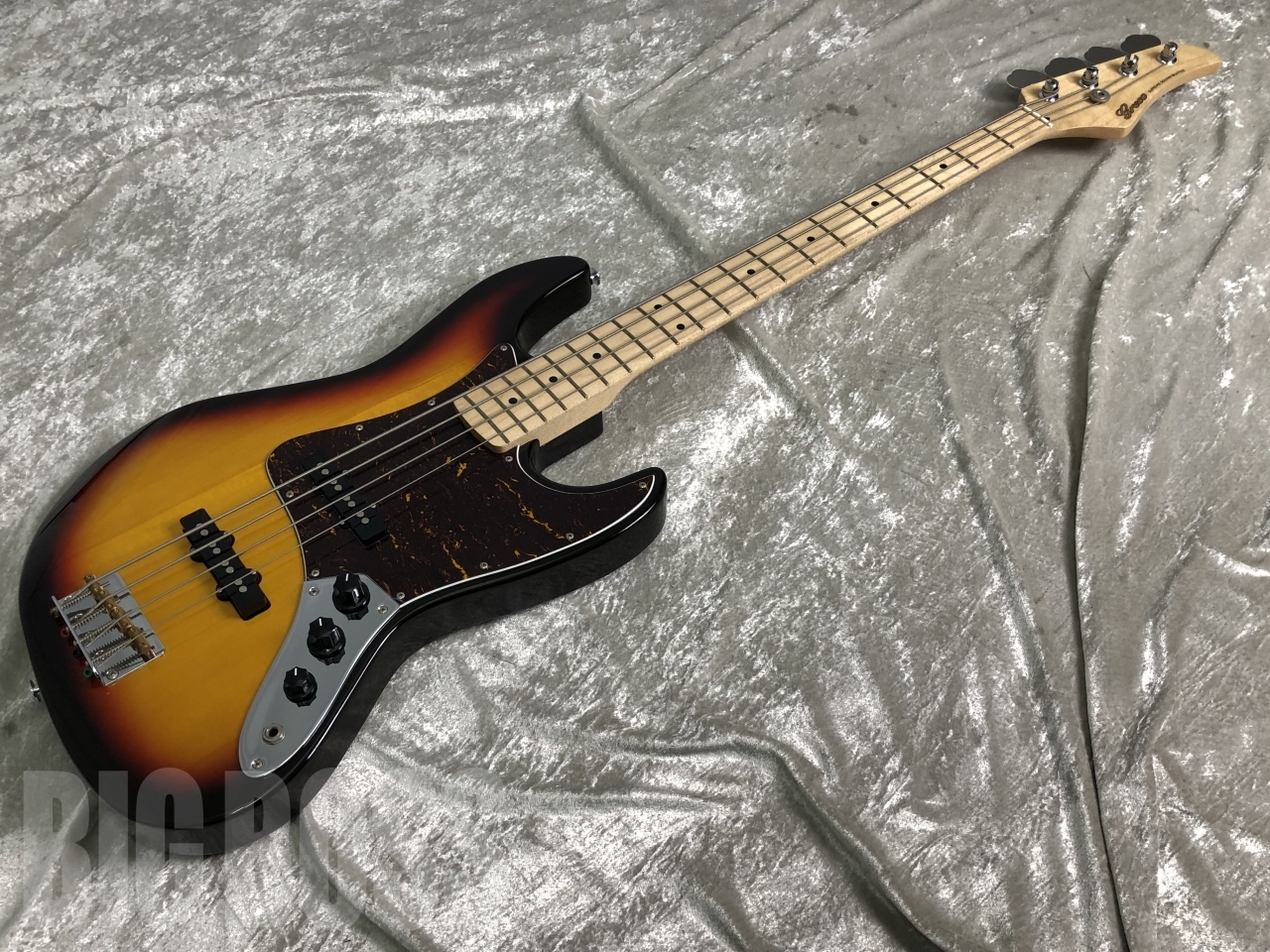 Greco WSB-STD (Sunburst/M)（新品/送料無料）【楽器検索デジマート】