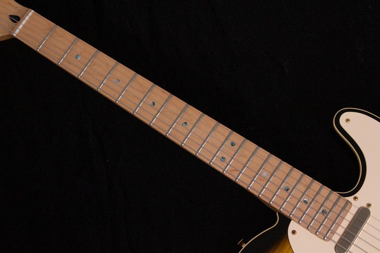 Fender Japan Exclusive TLR-RK Richie Kotzen Signature Telecaster