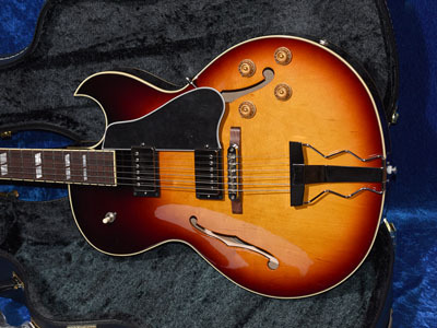 Archtop Tribute AT205MD（新品）【楽器検索デジマート】