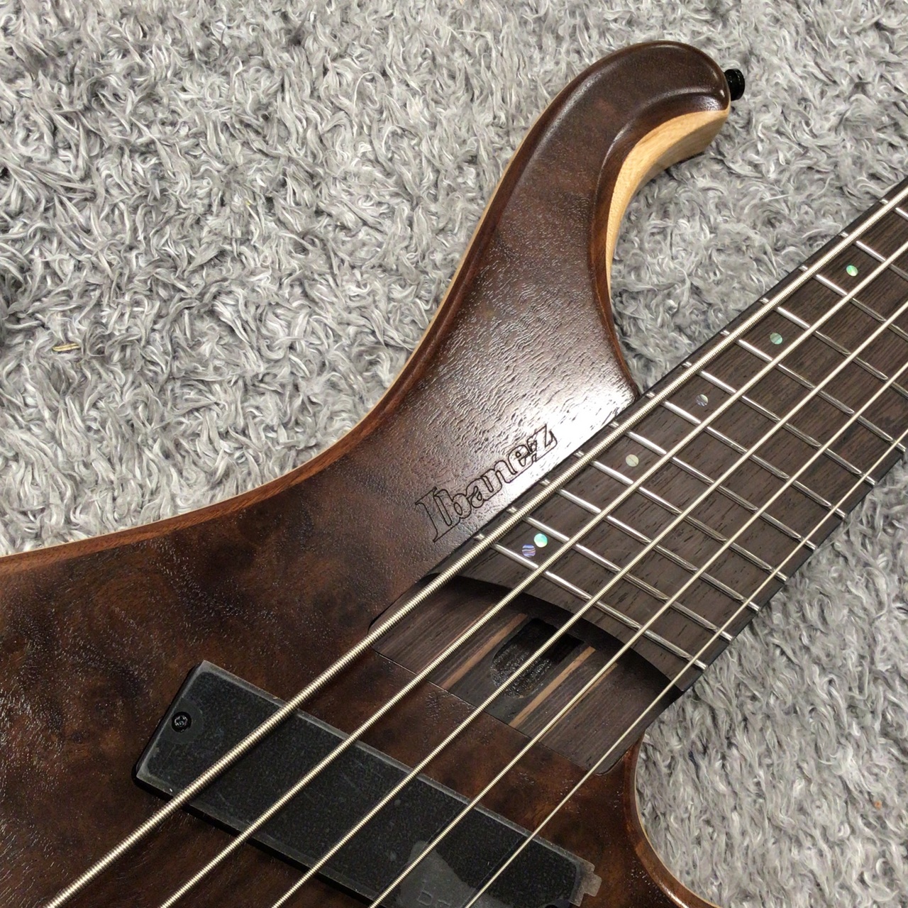 Ibanez EHB1265MS-NML (Natural Mocha Low Gloss) 【SPOTモデル