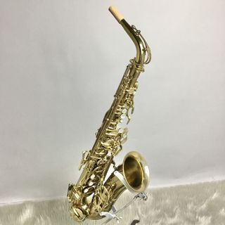 BUESCHERの検索結果【楽器検索デジマート】