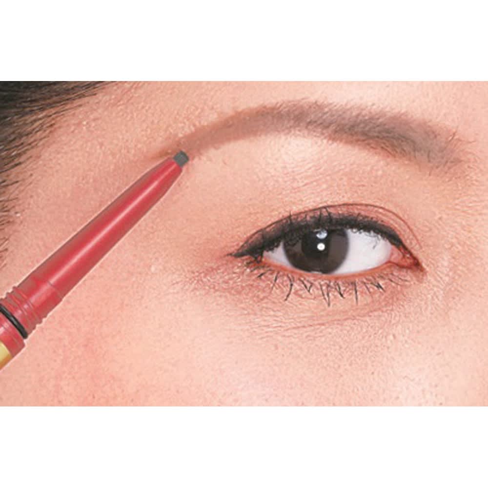 パピリオ ステイブロウ 本体＋レフィル 通販 - ディノス