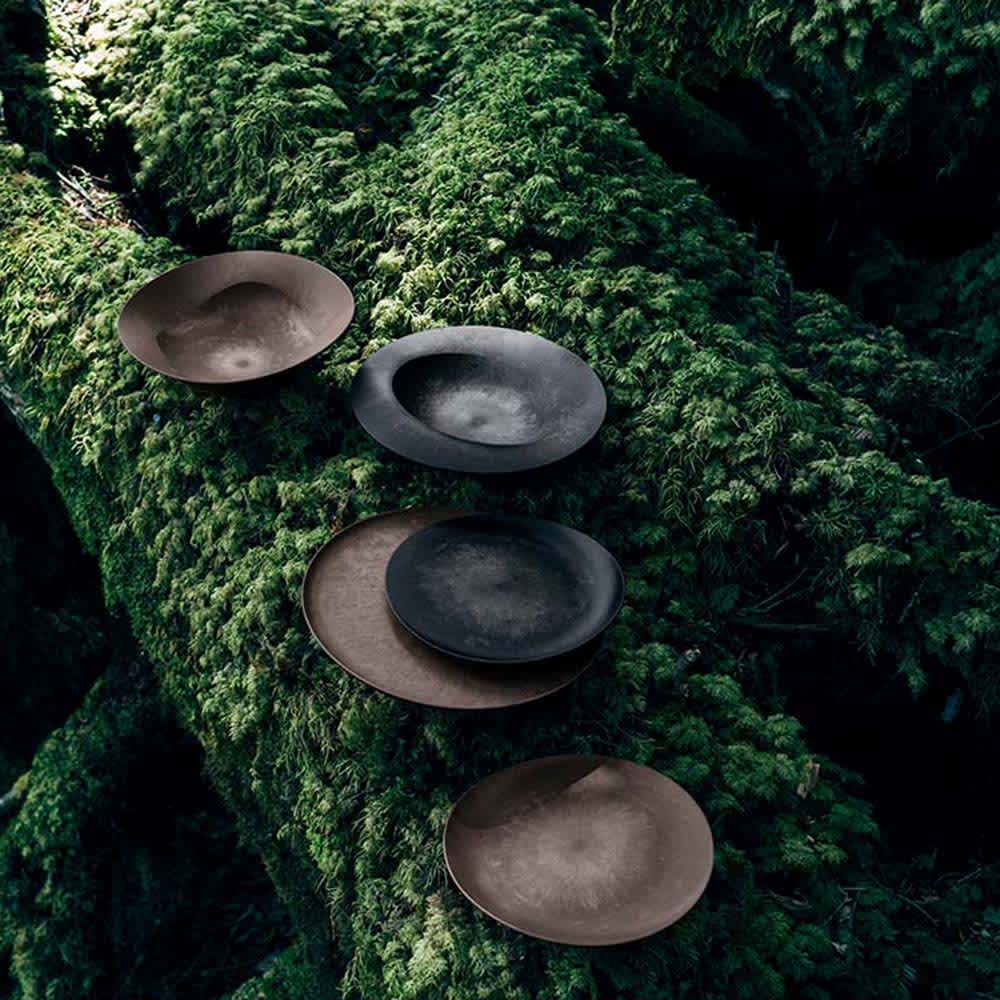 ARAS 杉皮大皿ウェーブ 27.5cm 割れないお皿 通販 - ディノス