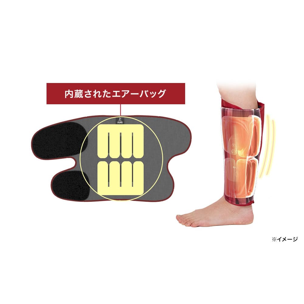 フィットネスクラブが作った スタイリーレッグ 通販 - ディノス