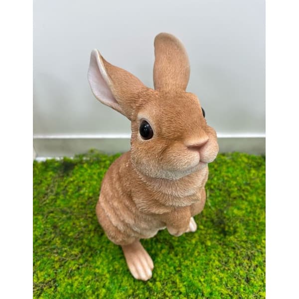 園芸ネット本店｜WooBia：見上げて立つベージュ白ウサギ（H12207-3