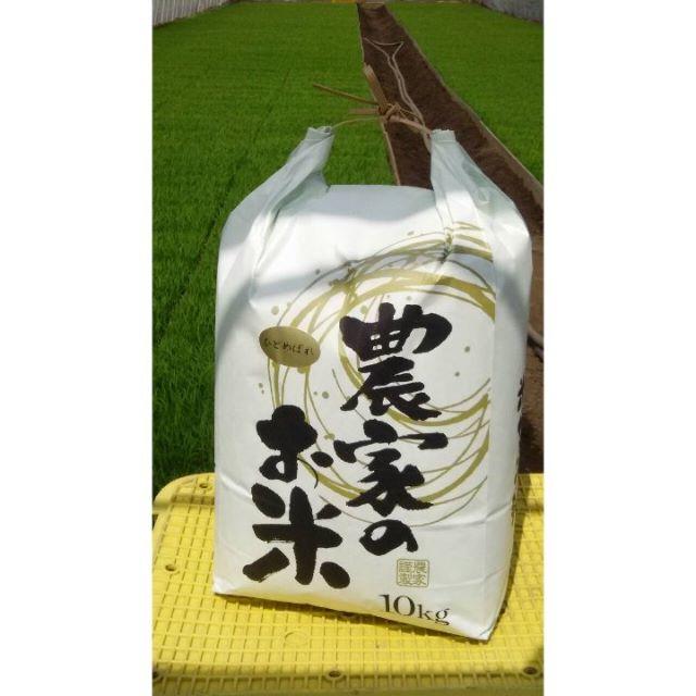松本徽章工業 純金張 金属工芸品 切手形の金張プレート（特殊鳥類