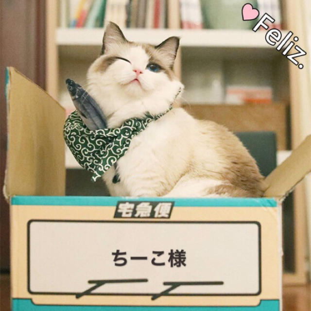 ジャスミンさま専用