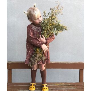 Apolina Sissy Smock Dress 2-3y