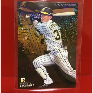 611336815.jpg?1553378585