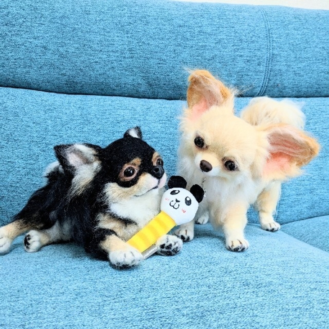 ✨💗羊毛フェルト🐶ロングコートチワワ💗犬No.00の通販 by ジュース's