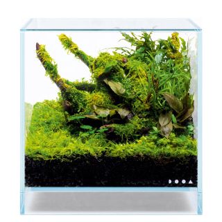 Aqua Design Amano - dooa ネオグラスエア 20×20×20 アクアデザイン