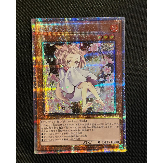 V*n様 遊戯王 灰流うらら 絵違い プリズマ 遊戯王 灰流うらら 絵