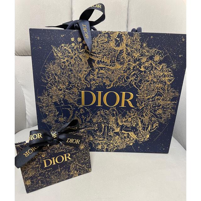 Dior - Dior ディオール ショッパー ギフトボックス バッグ2022年