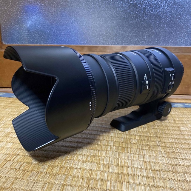 Nikon用／SIGMA 50-500mm 超望遠 ズームレンズ Amazon.co.jp: SIGMA