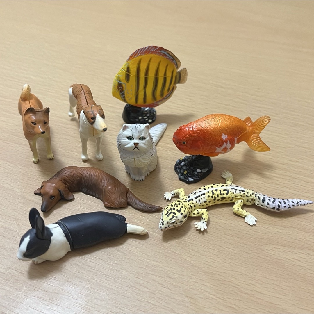 海洋堂 - 海洋堂 チョコエッグ 動物コレクション 17種(18体