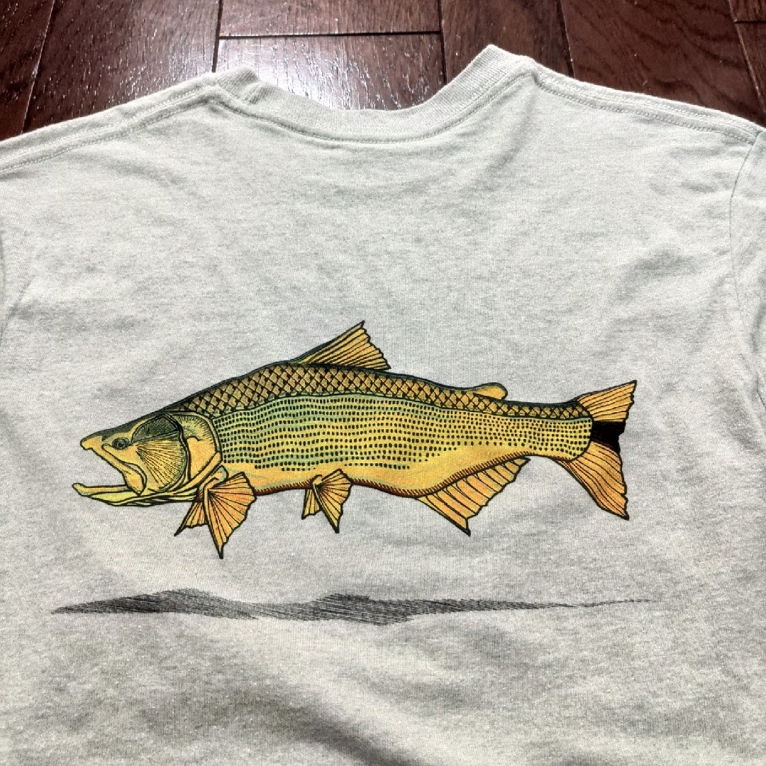 patagonia - patagonia world trout Tシャツ XS トラウト 魚の通販 by