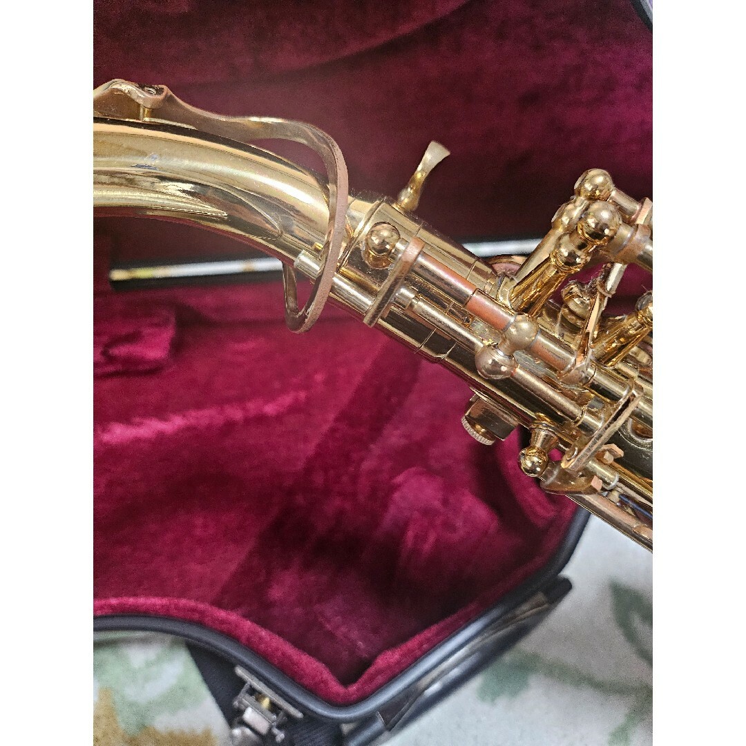 Kaerntner ケルントナー サックス 本体 アルトサックス本体 ケース付