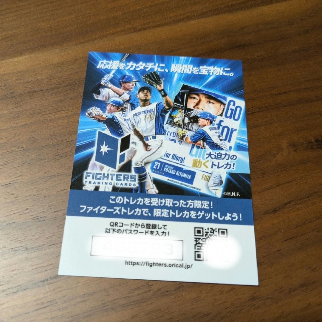 北海道日本ハムファイターズ - 北海道日本ハムファイターズ 宮西尚生