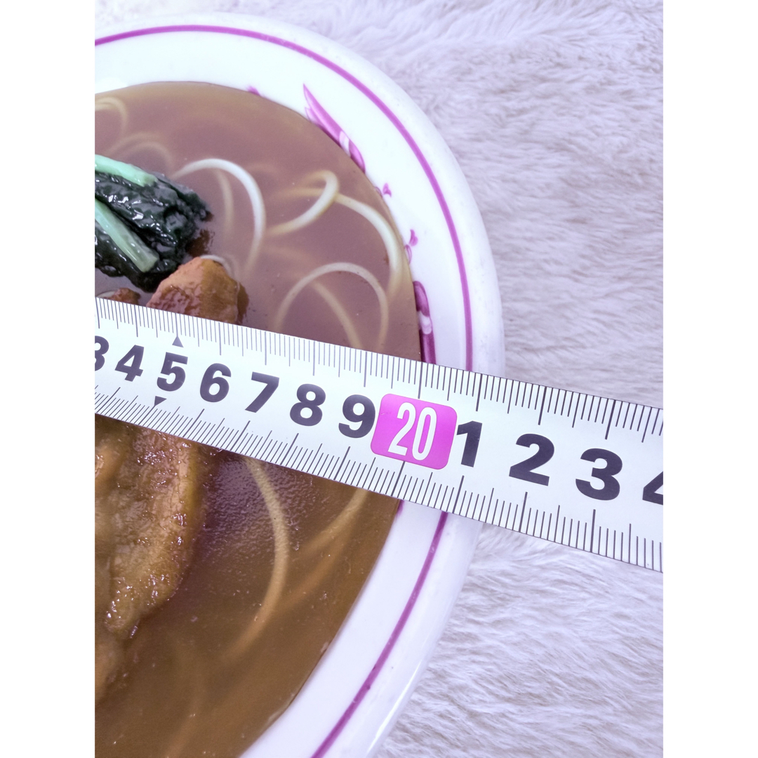 昭和レトロ 排骨麺 パイコーメン 食品サンプル 直径約21.5cm 町中華の