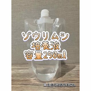 Aqua Design Amano - dooa ネオグラスエア 20×20×20 アクアデザイン