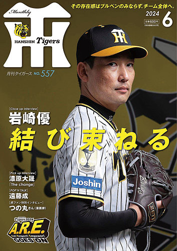 阪神タイガースハンディファン＆マスク2枚 岩崎優 阪神タイガース