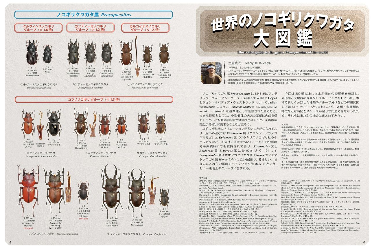 BE-KUWA（ビークワ） 71 (発売日2019年04月16日) | 雑誌/電子書籍/定期