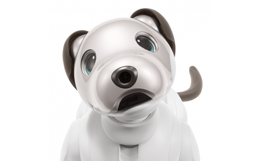 aibo 自律型エンターテインメント ロボット (カラー：アイボリー